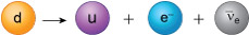 A down quark is converted into an up quark plus an electron and an electron antineutrino